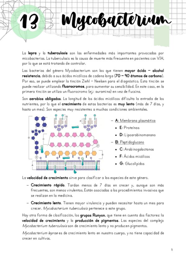 Miniatura del documento Tema-13.pdf