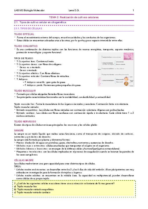 Miniatura del documento 02-BMC-Apuntes-Lena-.pdf