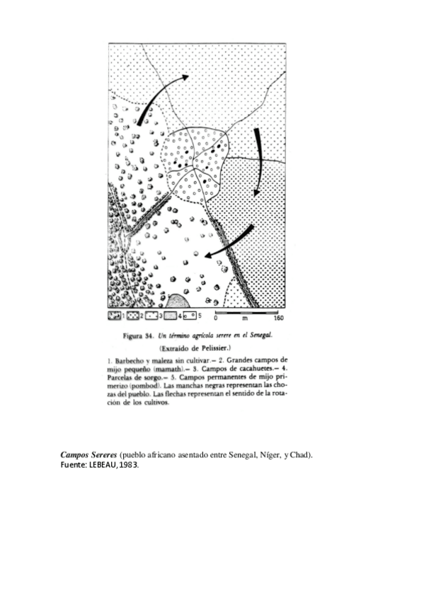 Miniatura del documento Croquis-Campos-Serere.pdf