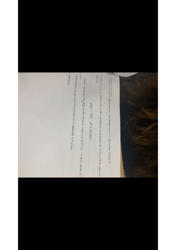 Miniatura del documento 20.pdf