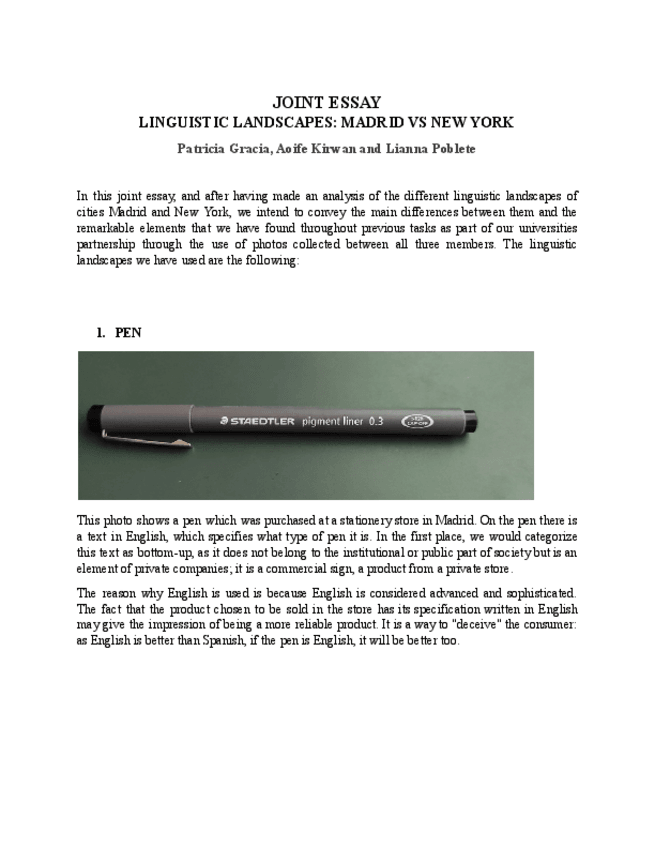 Miniatura del documento Joint-Essay.pdf