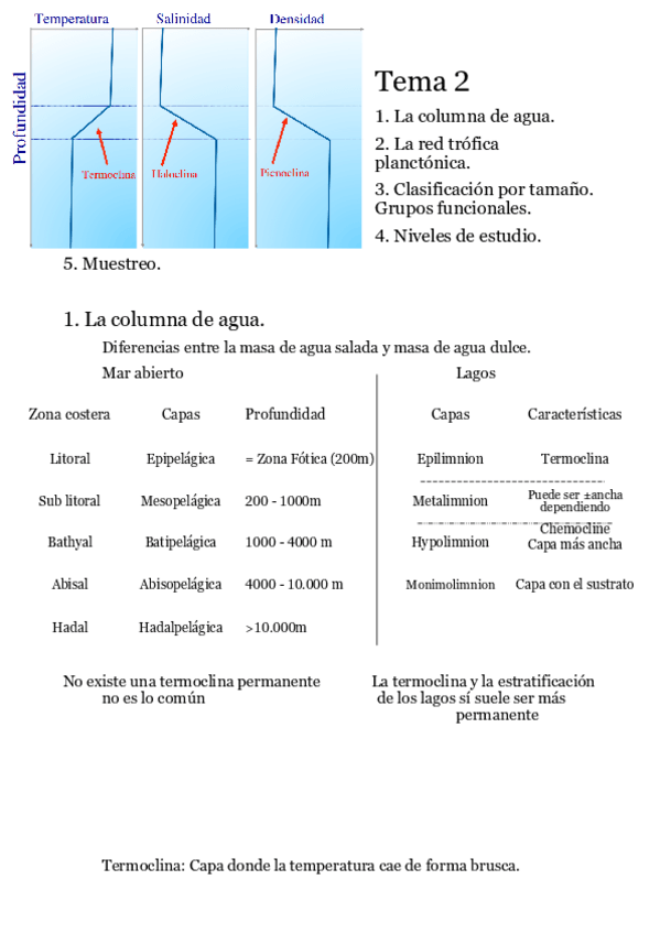 Miniatura del documento Tema-2.pdf