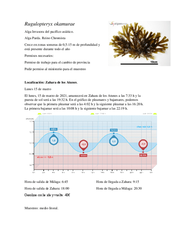 Miniatura del documento Practica-1.pdf