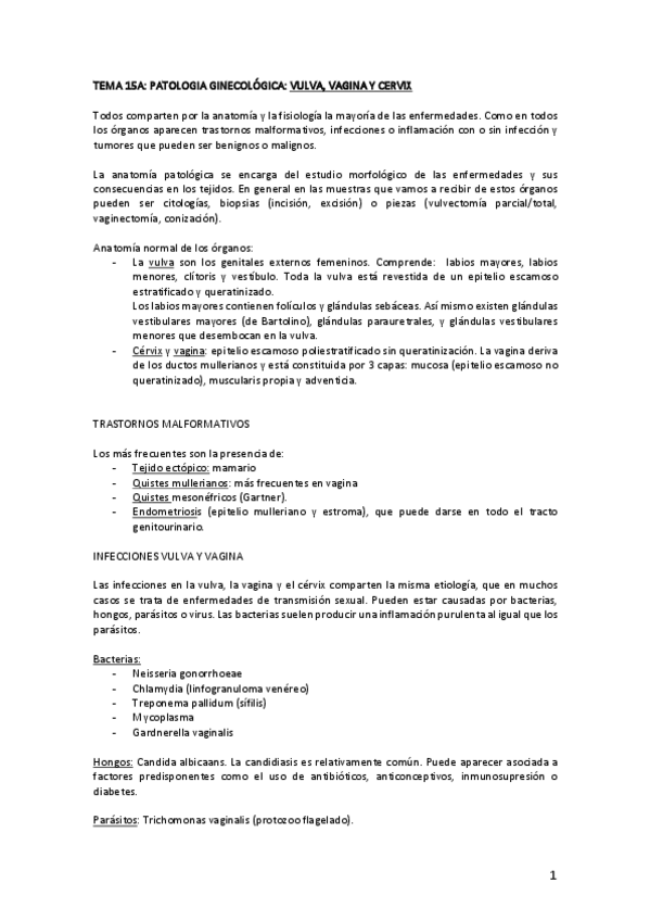 Miniatura del documento TEMA-15A-VULVA-VAGINA-CERVIX.pdf