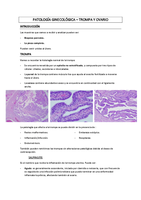 Miniatura del documento TROMPA-Y-OVARIO-apuntes-1.pdf