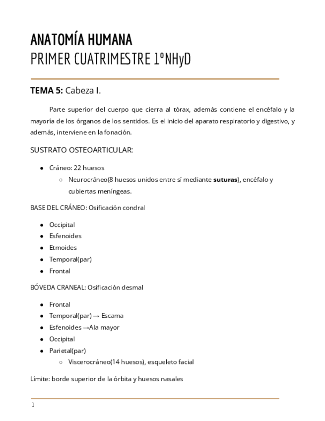 Miniatura del documento Anatomia-Humana. Tema 5-8.pdf