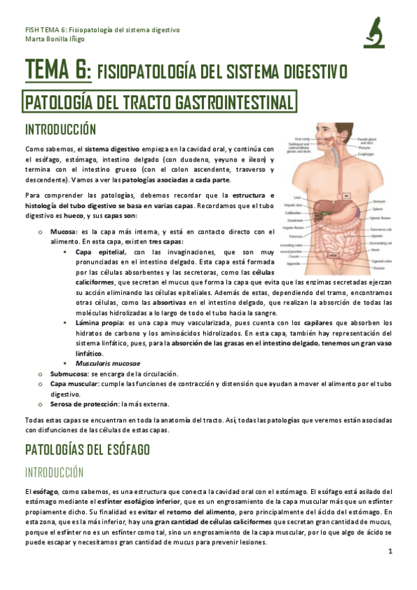 Miniatura del documento FISH-TEMA-6-FISIOPATOLOGIA-DEL-SISTEMA-DIGESTIVO.pdf