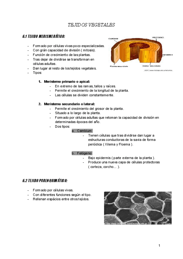 Miniatura del documento Liberatorio.pdf