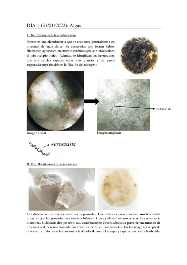 Miniatura del documento MEMORIA-SEMANA-1.pdf