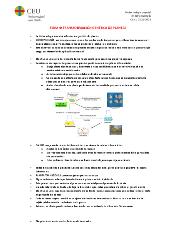 Miniatura del documento TEMA-4.pdf