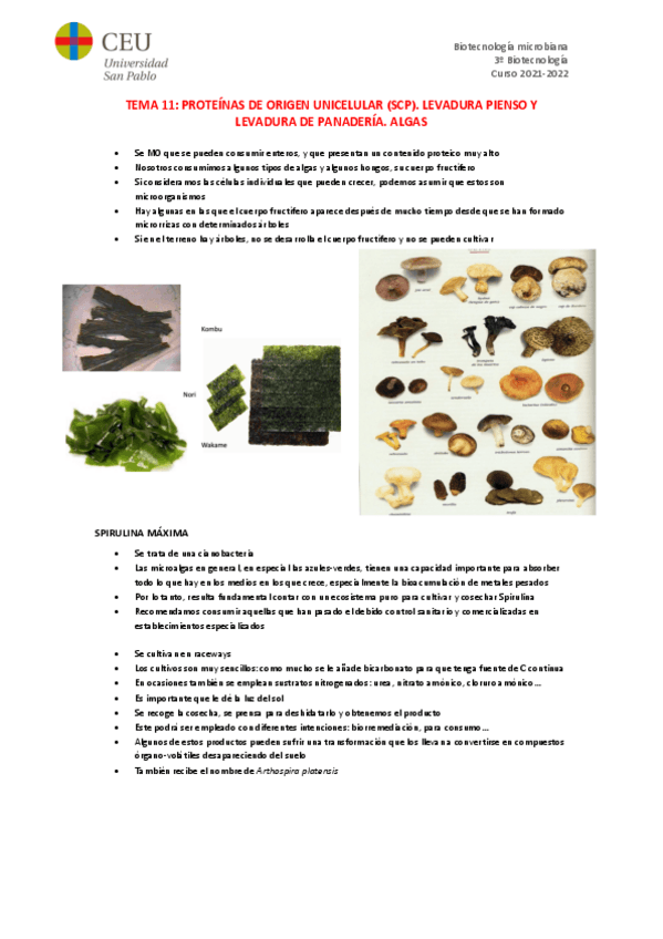 Miniatura del documento TEMA-11.pdf