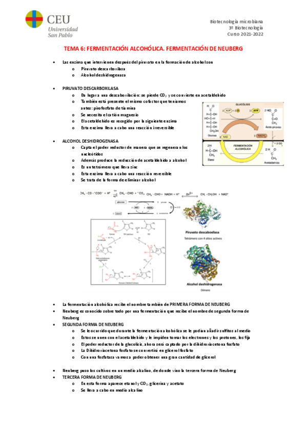 Miniatura del documento TEMA-6.pdf