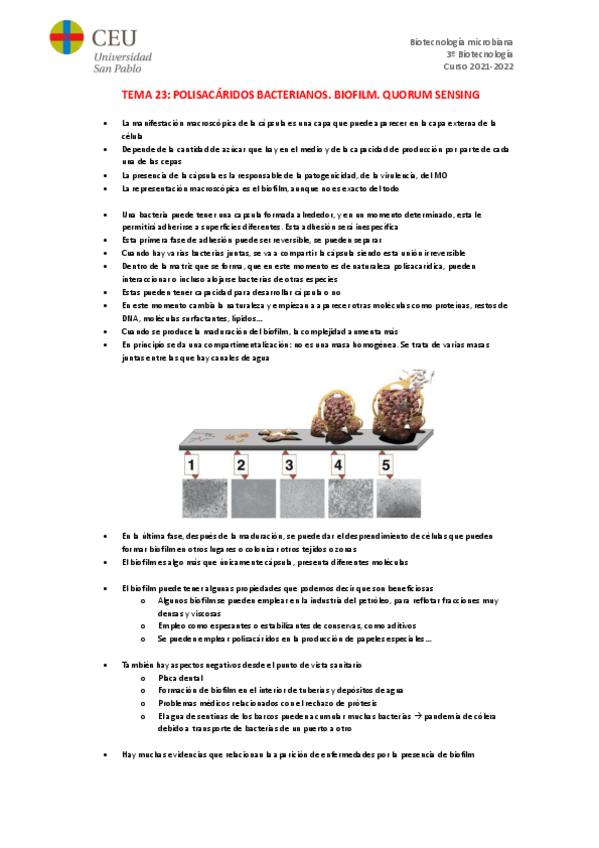 Miniatura del documento TEMA-23.pdf