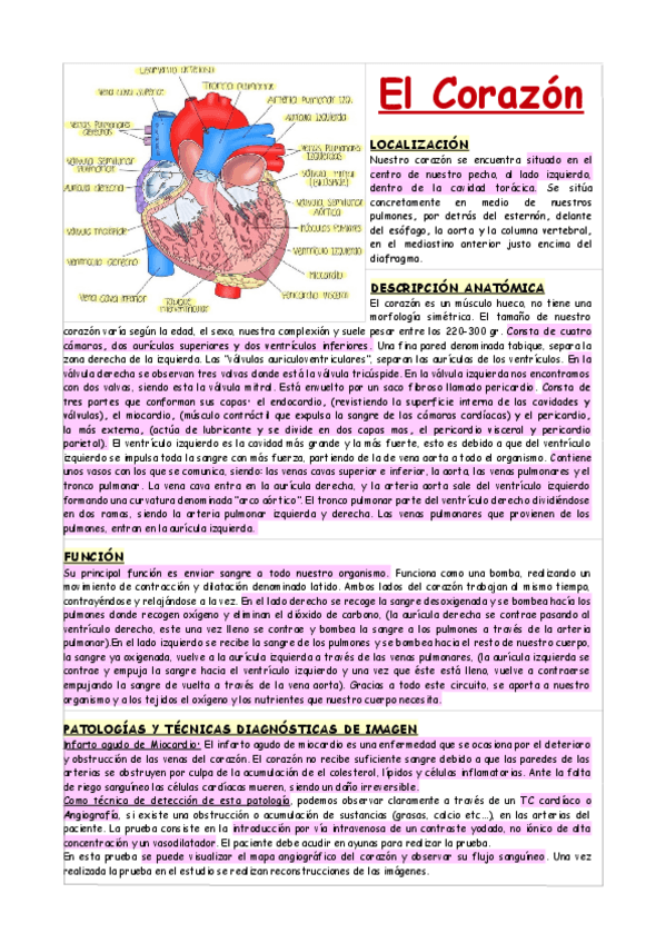 Miniatura del documento EL-CORAZON-FISIOLOGIA-Y-ANATOMIA.pdf