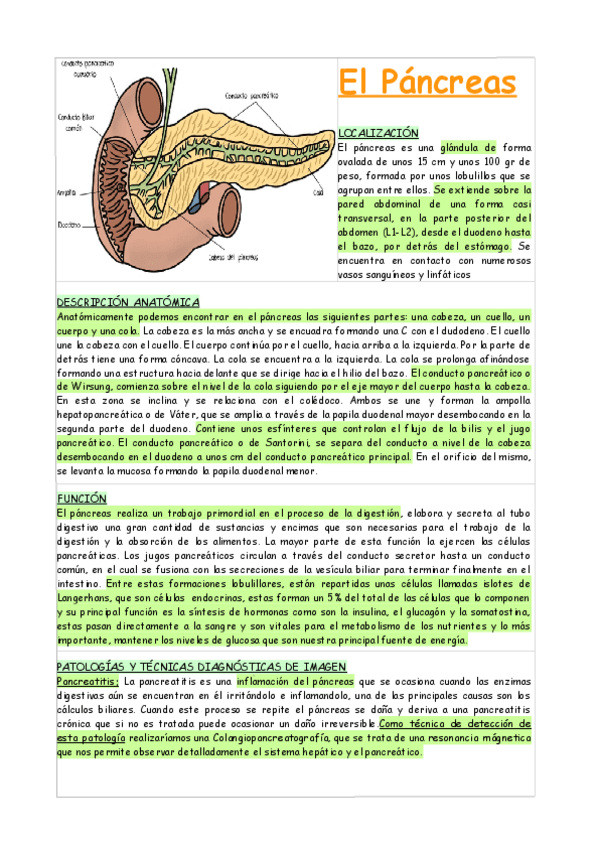 Miniatura del documento EL-PANCREAS-FISIOLOGIA-Y-ANATOMIA.pdf