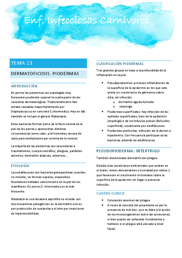 Miniatura del documento APUNTES-CARNIVOROS.pdf