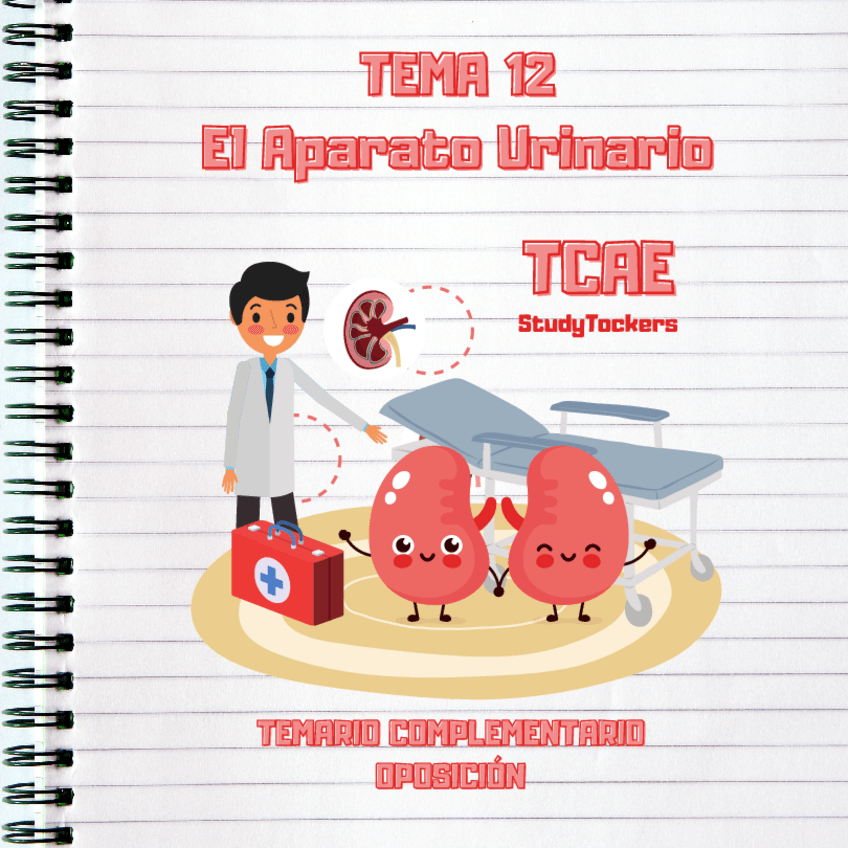 Miniatura del documento EL-APARATO-URINARIO.pdf