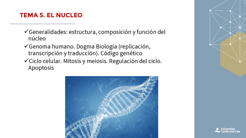 Miniatura del documento TEMA-5-HISTOLOGIA.pdf