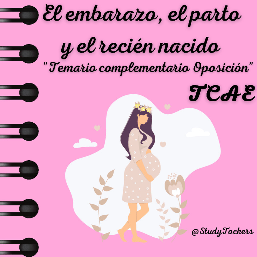 Miniatura del documento EL-EMBARAZO-EL-PARTO-Y-EL-RECIEN-NACIDO.pdf