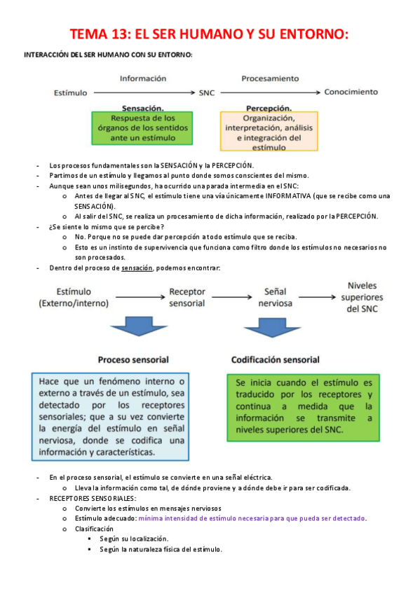 Miniatura del documento TEMA-13.pdf