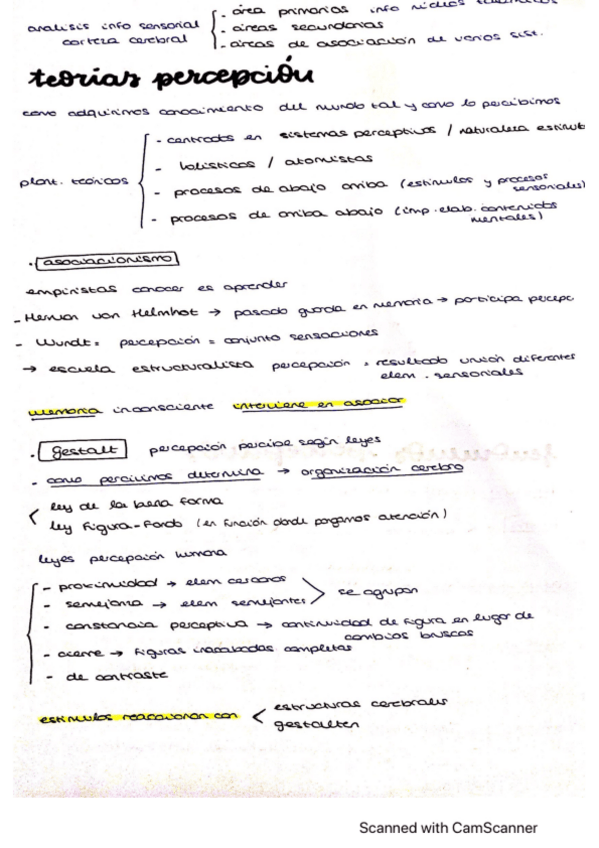 Miniatura del documento esquemas-T4-procesos-cognitivos-basico.pdf