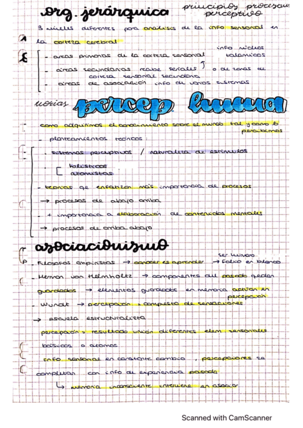 Miniatura del documento T4-procesos-cognitivos-basicos.pdf