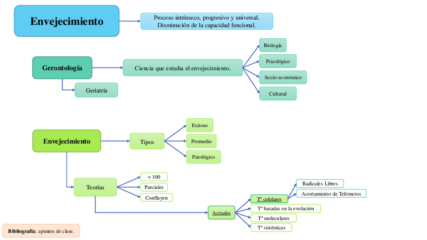 Miniatura del documento EsquemaEnvejecimiento.pdf