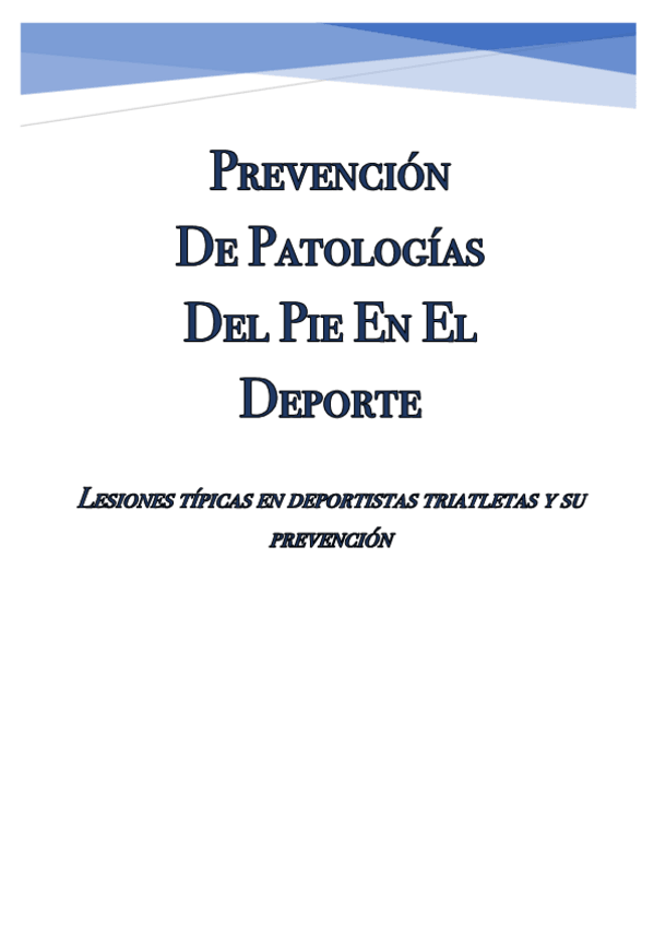 Miniatura del documento TrabajoPrevencionLesiones.pdf