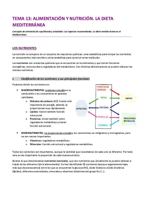 Miniatura del documento TEMA-13.pdf