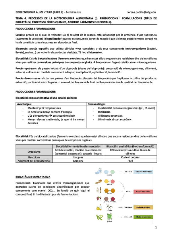 Miniatura del documento tema-4.pdf