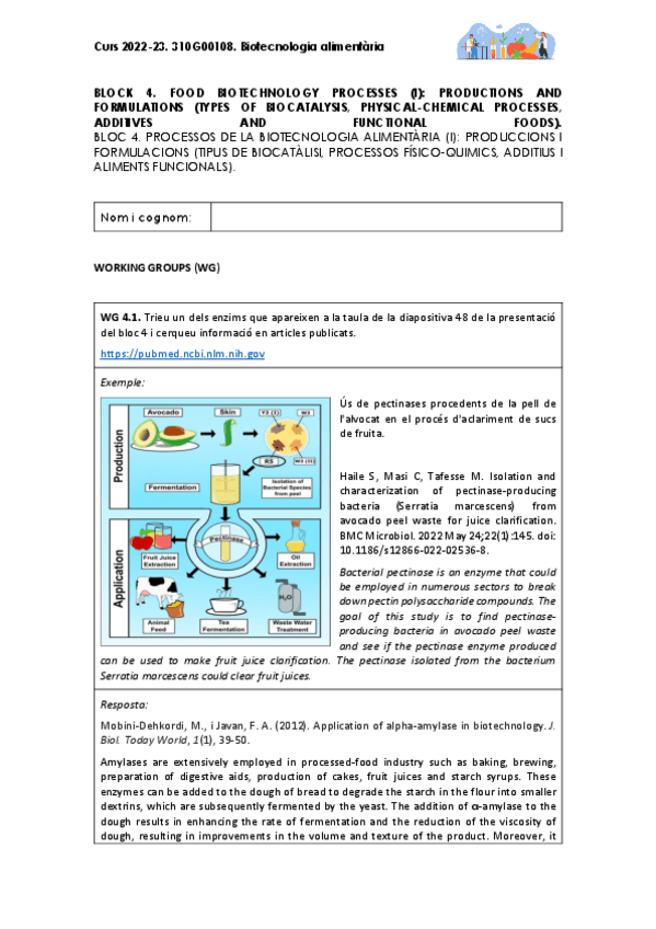 Miniatura del documento BLOC-4-BAL-WORKING-GROUPS-LINKS.pdf
