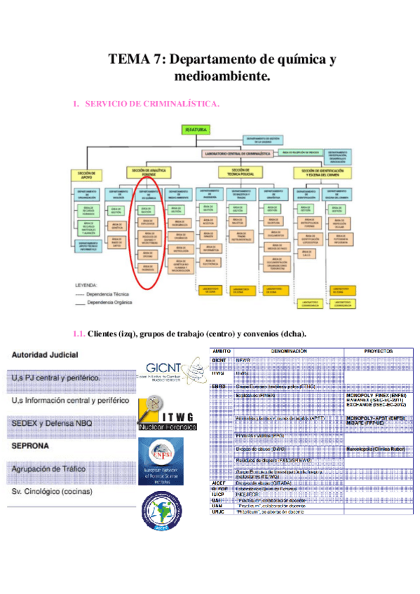 Miniatura del documento tema-7.pdf