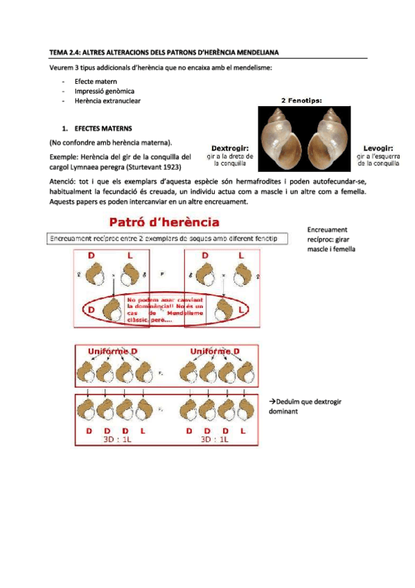Miniatura del documento tema-2.pdf