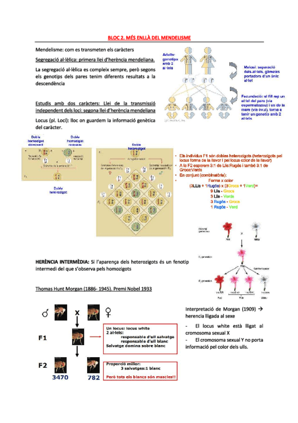 Miniatura del documento tema-2.pdf