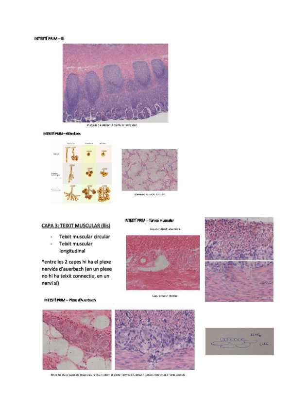 Miniatura del documento practiques4.pdf