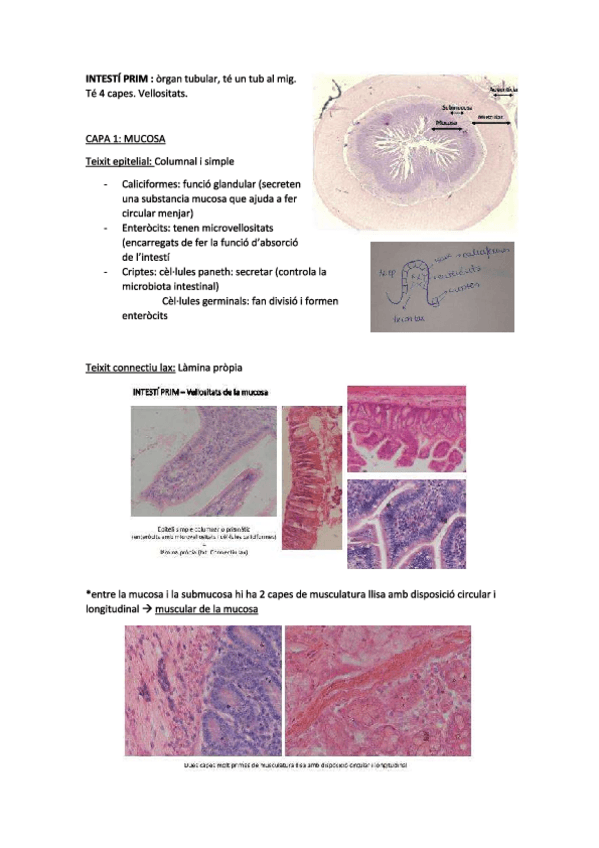 Miniatura del documento practiques3.pdf