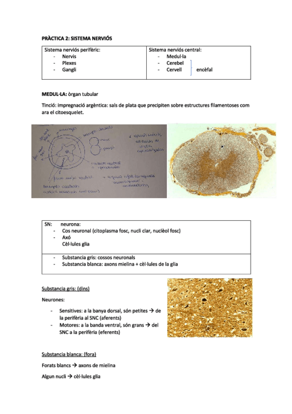 Miniatura del documento practiques5.pdf