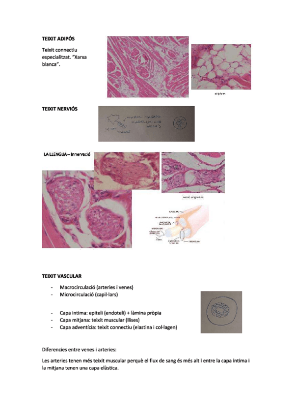 Miniatura del documento practiques2.pdf