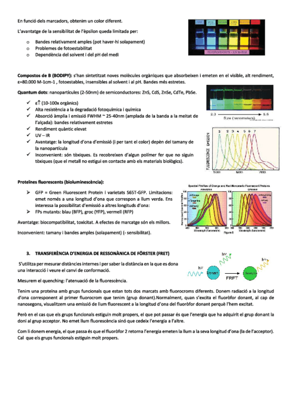 Miniatura del documento tema-4.pdf