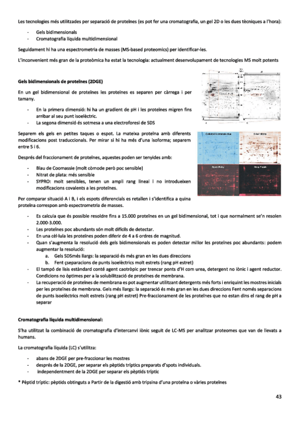Miniatura del documento tema-5.pdf
