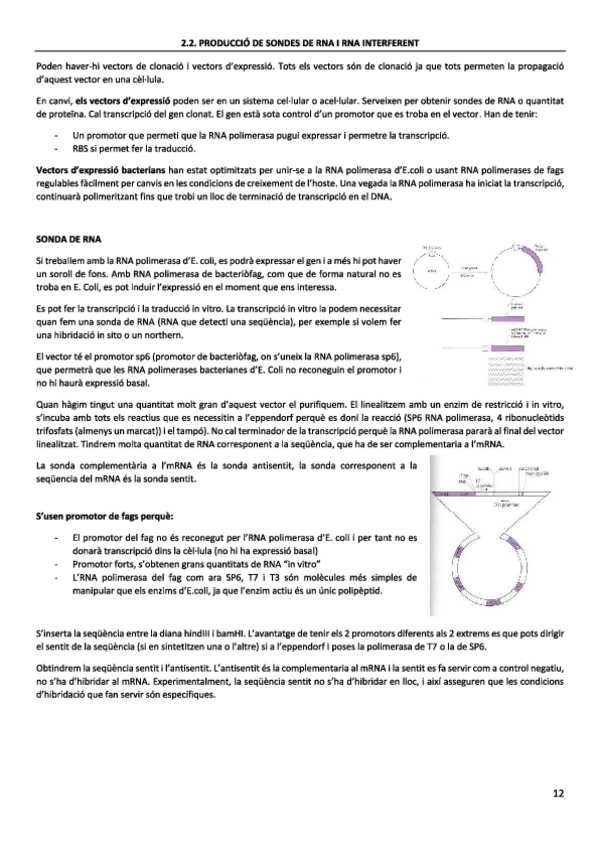 Miniatura del documento tema-2.pdf