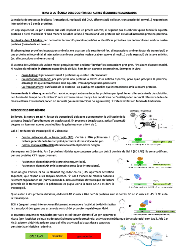 Miniatura del documento tema-0.pdf