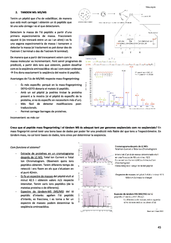 Miniatura del documento 5.pdf