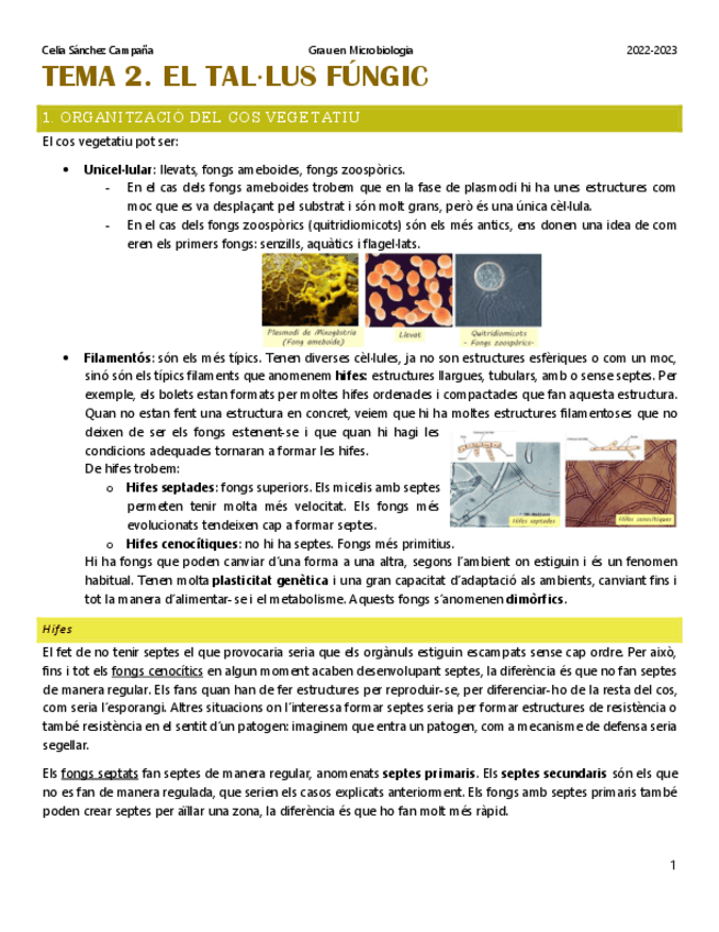 Miniatura del documento Tema-2.pdf