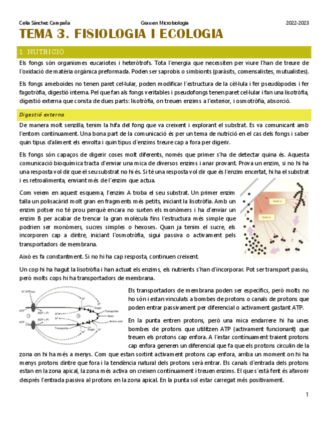 Miniatura del documento Tema-3.pdf
