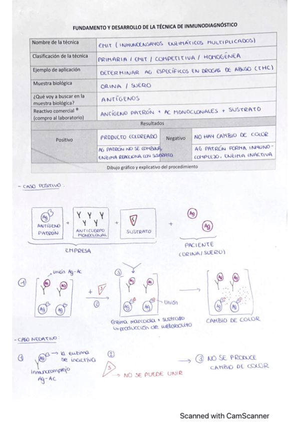 Miniatura del documento Tecnicas-de-inmunodiagnostico-fichas.pdf
