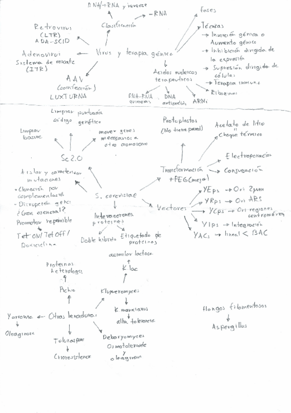 Miniatura del documento Esquema-temario-OOT.pdf