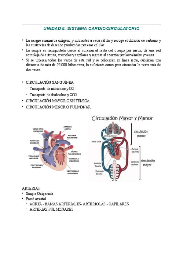 Miniatura del documento UNIDAD-5.pdf