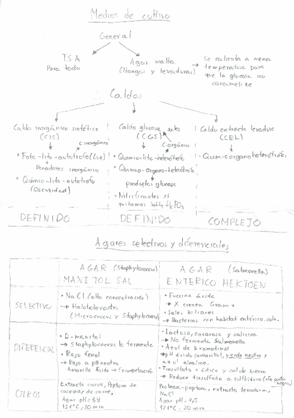 Miniatura del documento Temario-esquematizado-practicas-microbiologia.pdf
