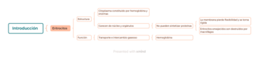 Miniatura del documento Esquema-T4-Hemato.pdf